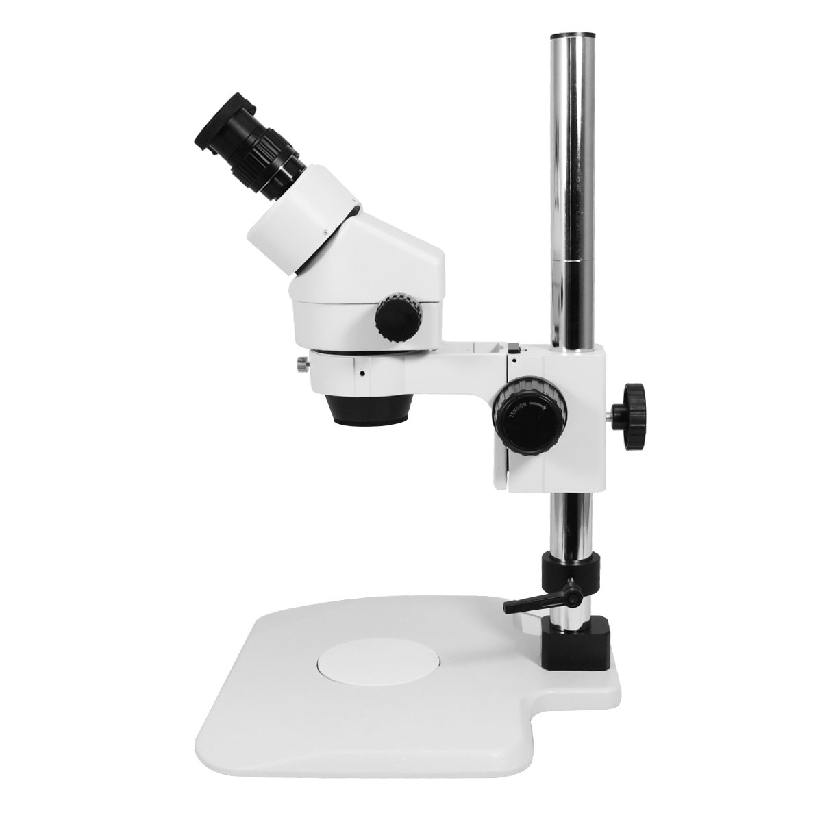 Stereo Microscope